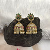 Exquisite Jhumka Earrings
